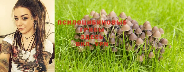тгк Арсеньев